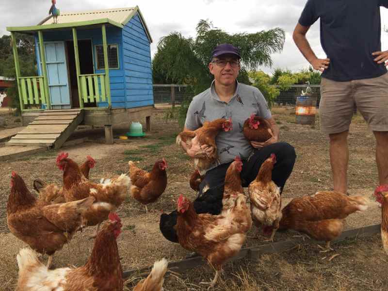 The chicken vet at Edgars Mission
